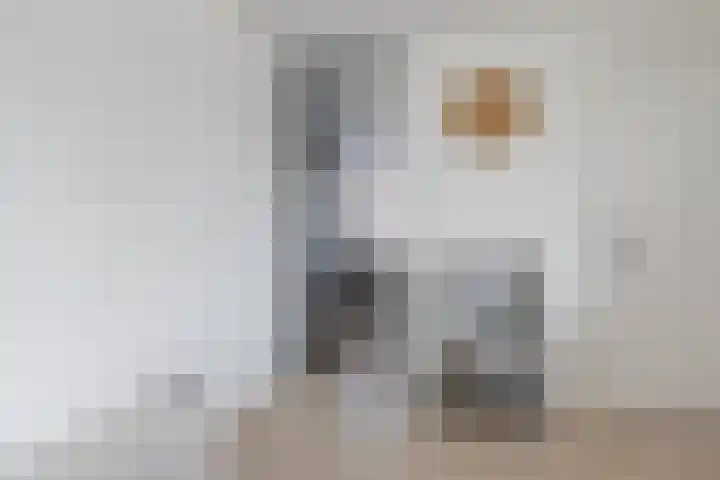 Ruimzicht 27 Amsterdam thumbnail 10