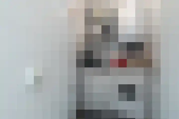Ruimzicht 27 Amsterdam thumbnail 24