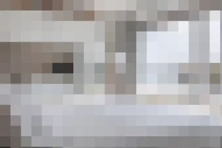 Ruimzicht 27 Amsterdam thumbnail 31