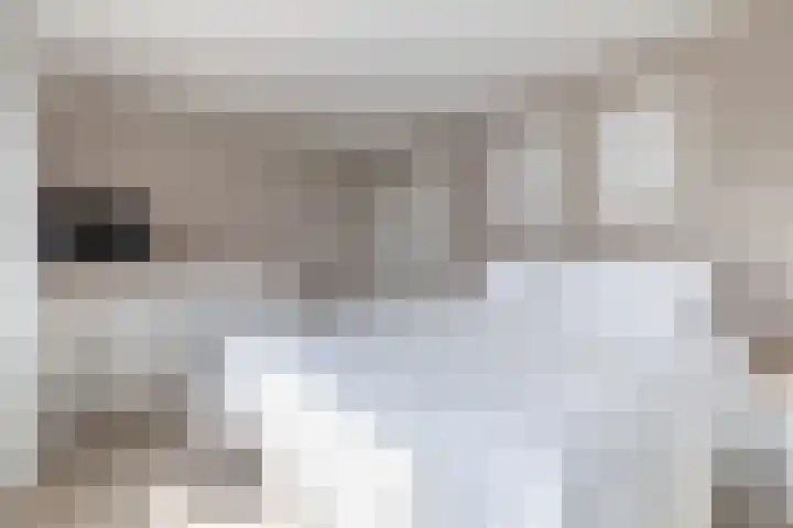 Ruimzicht 27 Amsterdam thumbnail 33