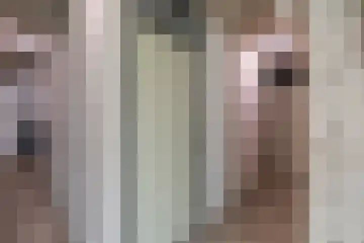 Ruimzicht 27 Amsterdam thumbnail 36