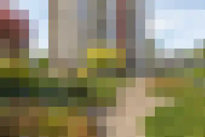 Ruimzicht 27 Amsterdam thumbnail 42