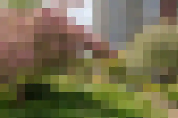 Ruimzicht 27 Amsterdam thumbnail 44