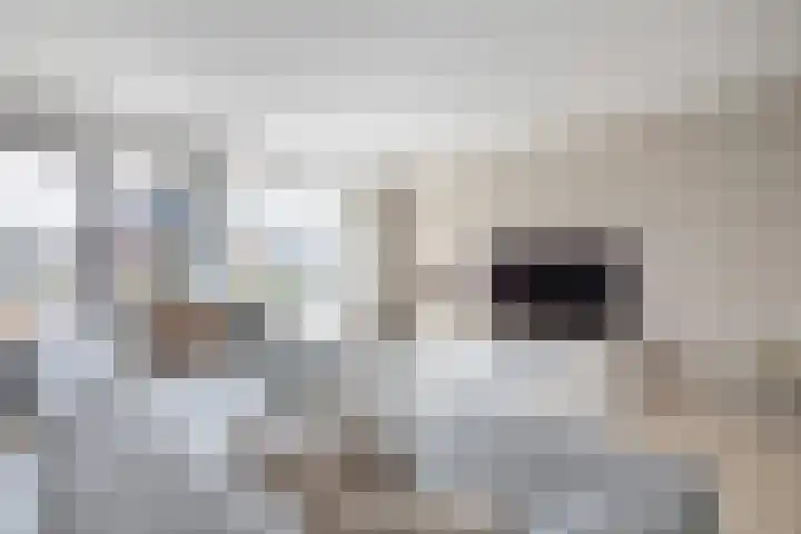 Ruimzicht 27 Amsterdam thumbnail 5