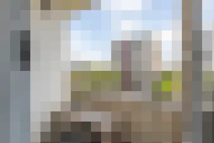 Ruimzicht 27 Amsterdam thumbnail 50
