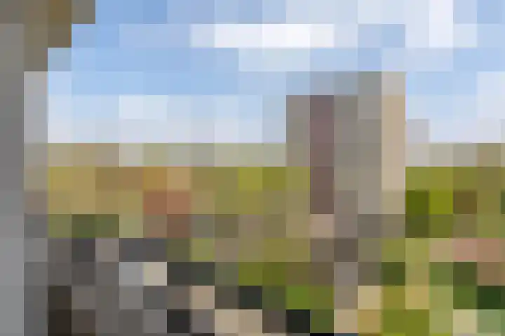 Ruimzicht 27 Amsterdam thumbnail 52