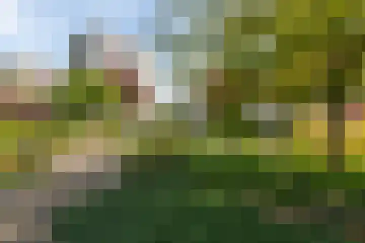 Ruimzicht 27 Amsterdam thumbnail 57