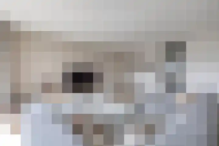 Ruimzicht 27 Amsterdam thumbnail 9