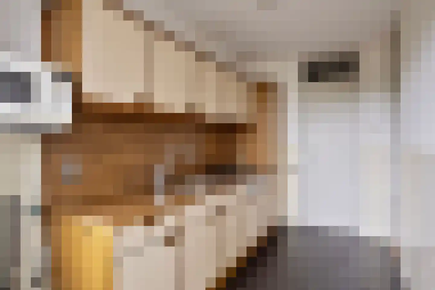 Ruimzicht 298 Amsterdam thumbnail 9