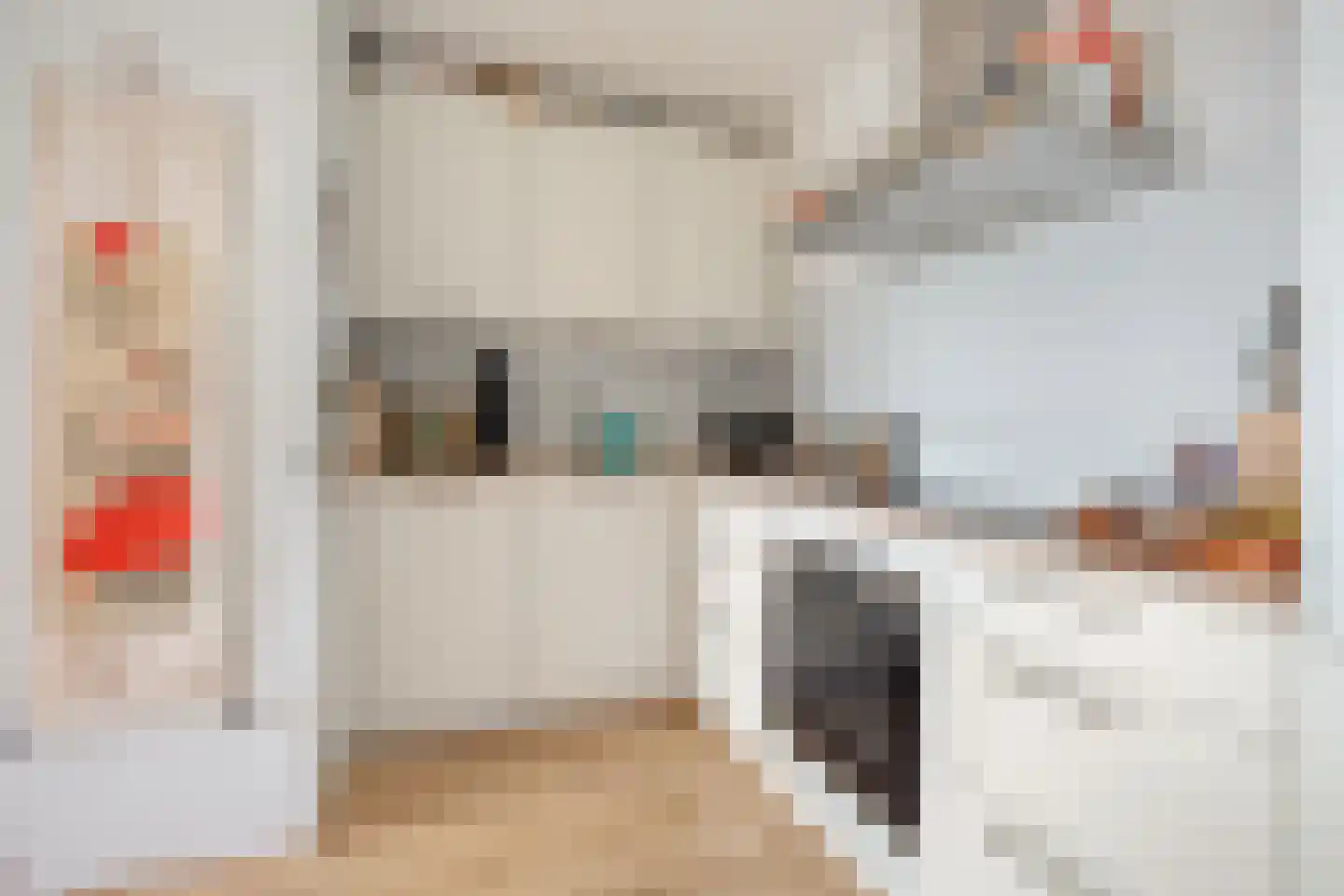 Ruimzicht 306 Amsterdam thumbnail 12