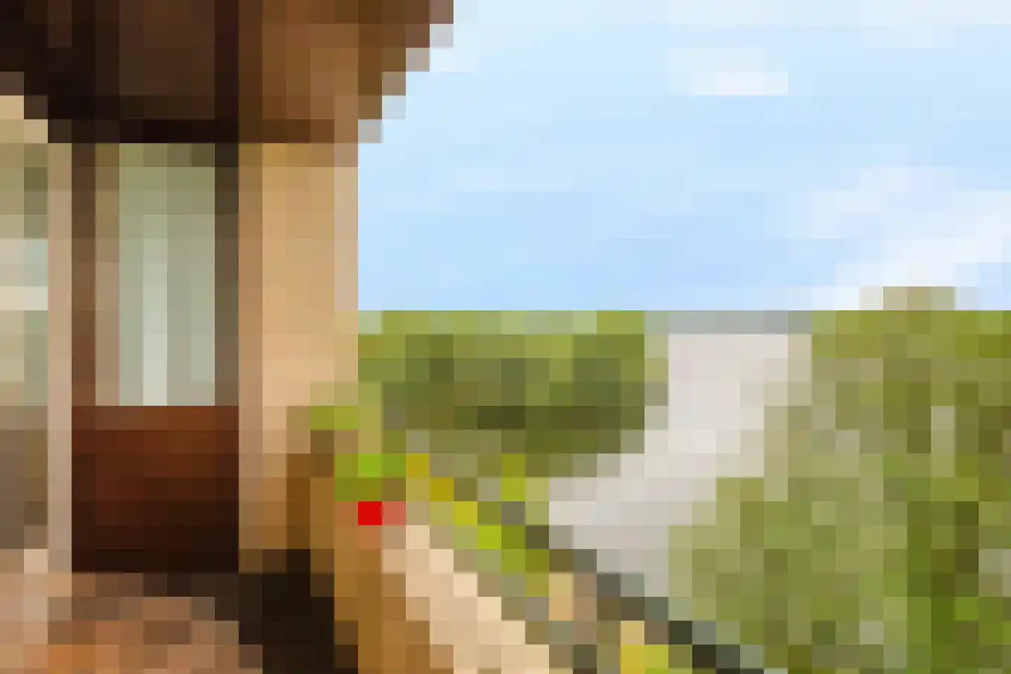 Ruimzicht 306 Amsterdam thumbnail 20