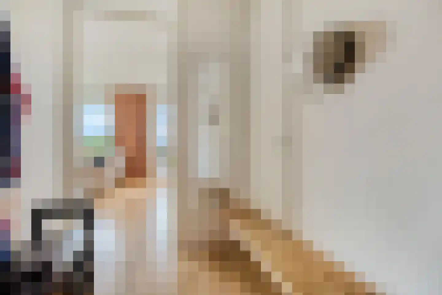 Ruimzicht 306 Amsterdam thumbnail 5