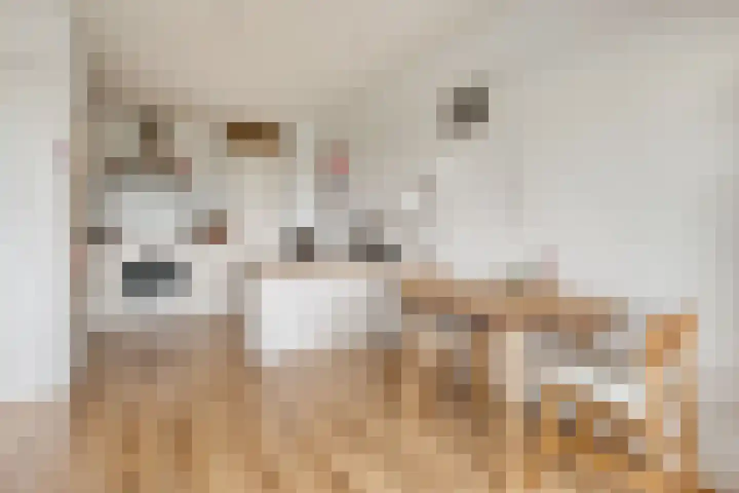Ruimzicht 306 Amsterdam thumbnail 9
