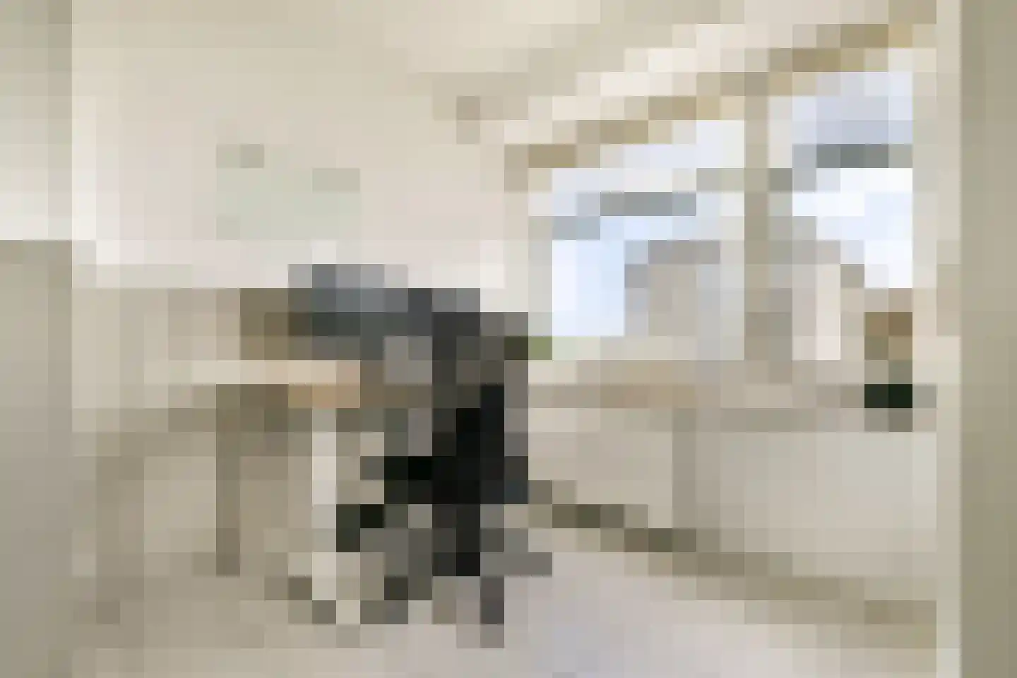 Ruimzicht 310 Amsterdam thumbnail 10