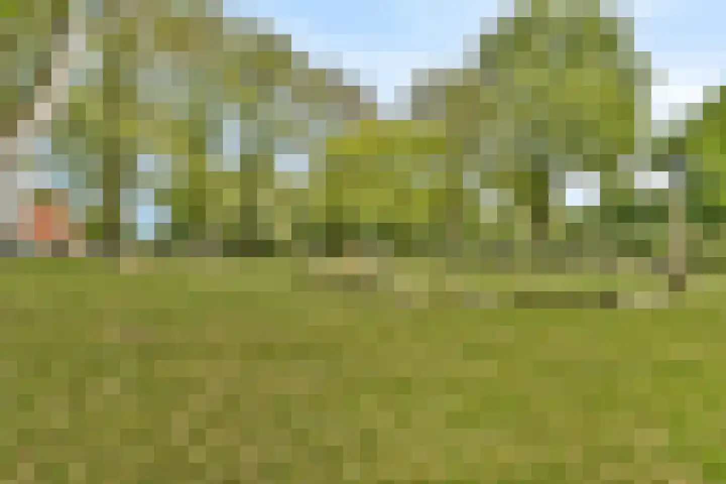 Ruimzicht 310 Amsterdam thumbnail 27