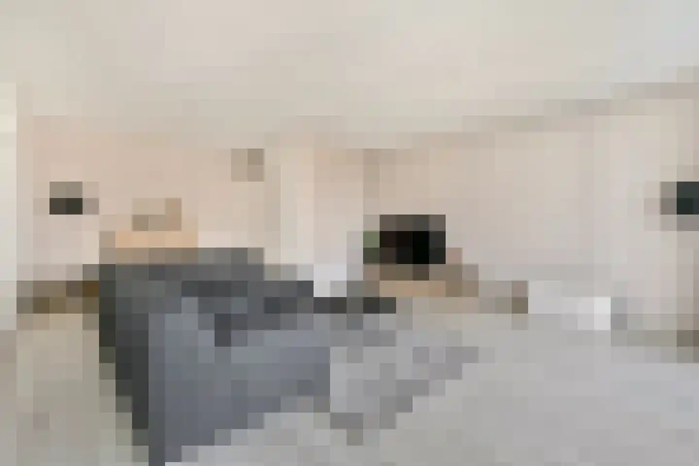 Ruimzicht 310 Amsterdam thumbnail 5