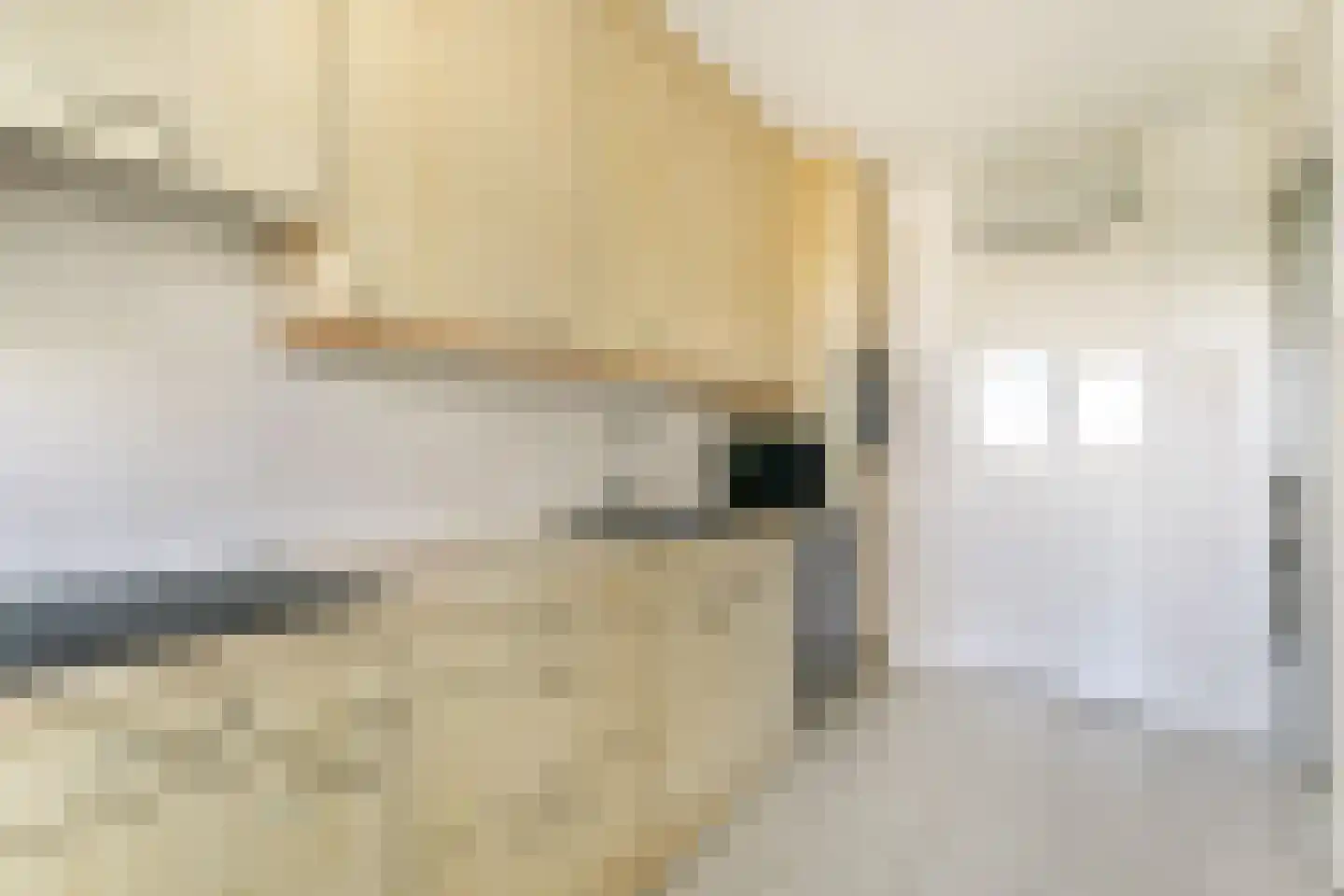 Ruimzicht 310 Amsterdam thumbnail 8