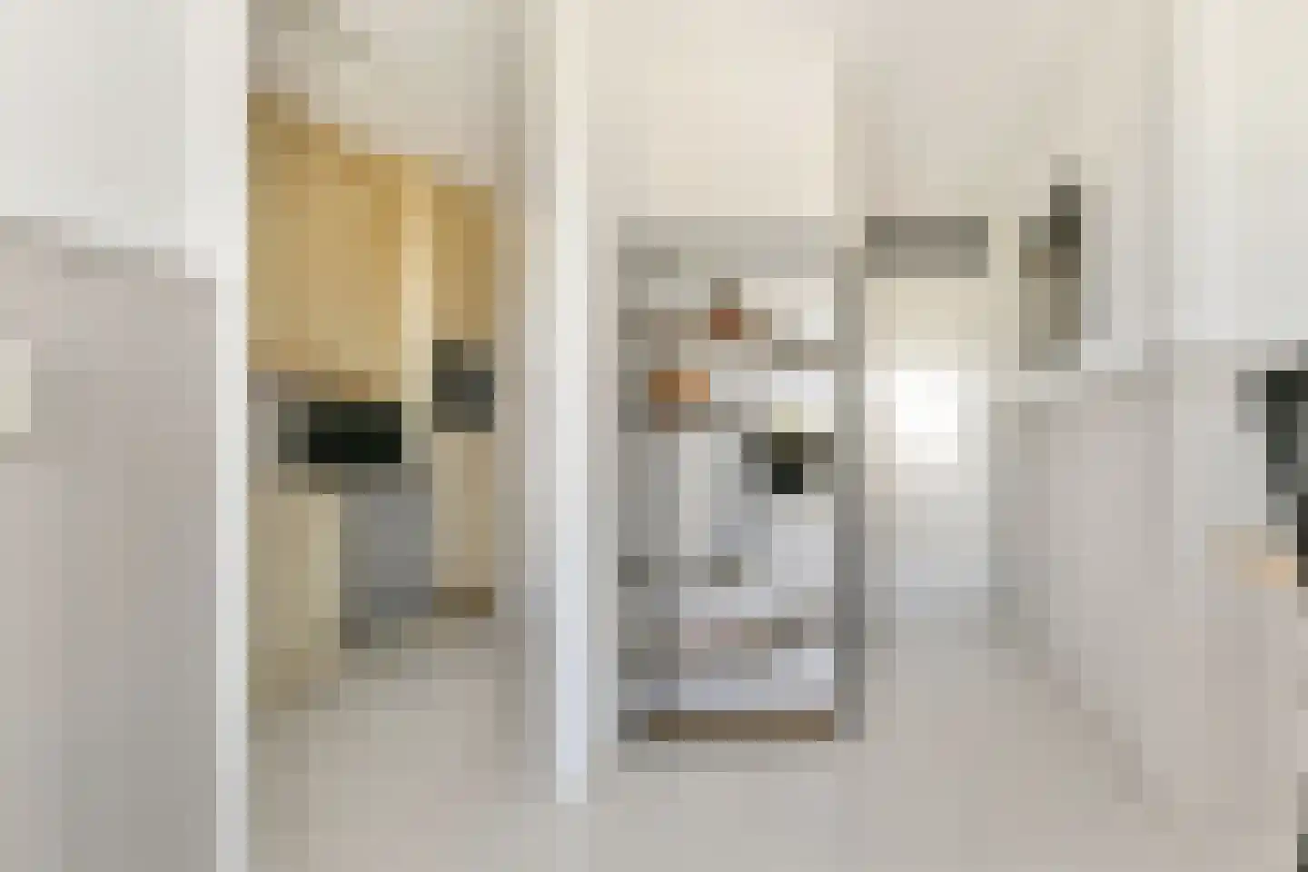 Ruimzicht 310 Amsterdam thumbnail 9