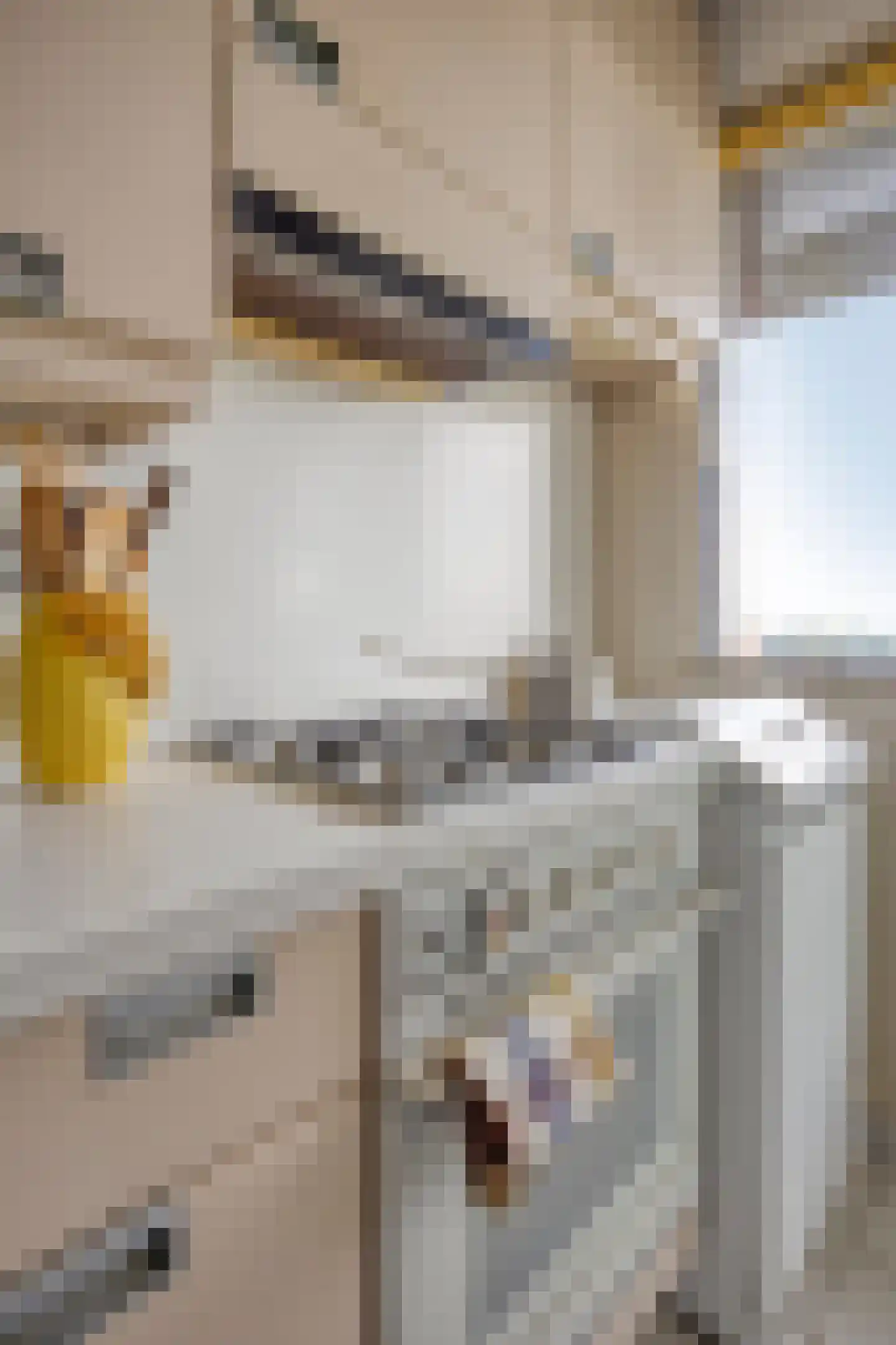 Ruimzicht 325 Amsterdam thumbnail 10