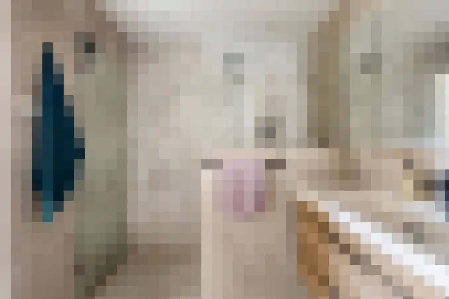 Ruimzicht 327 Amsterdam thumbnail 22