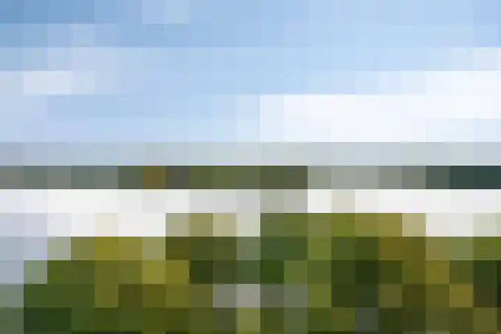 Ruimzicht 329 Amsterdam thumbnail 8