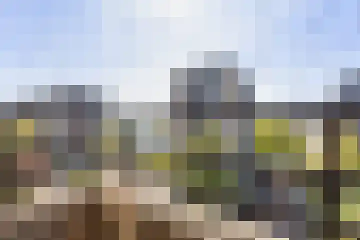 Ruimzicht 40 Amsterdam thumbnail 23