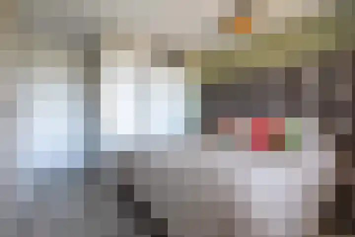 Ruimzicht 41 Amsterdam thumbnail 16