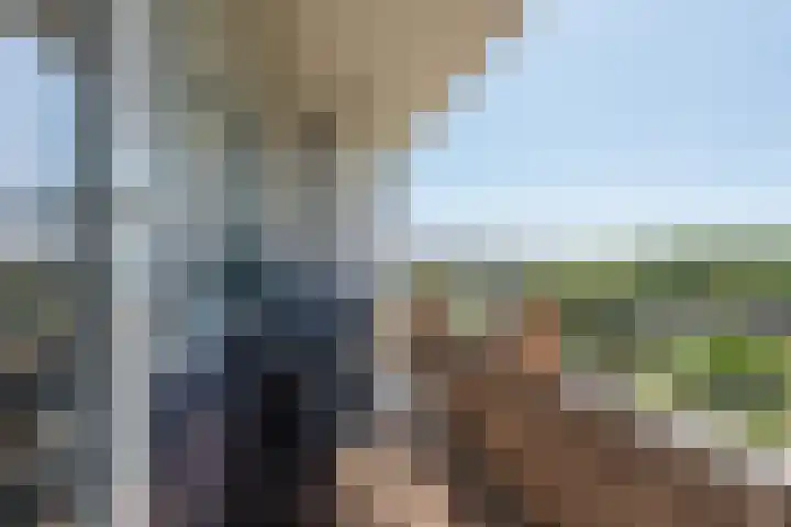 Ruimzicht 41 Amsterdam thumbnail 24