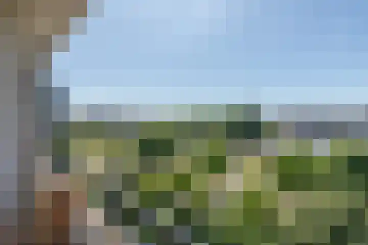 Ruimzicht 41 Amsterdam thumbnail 25