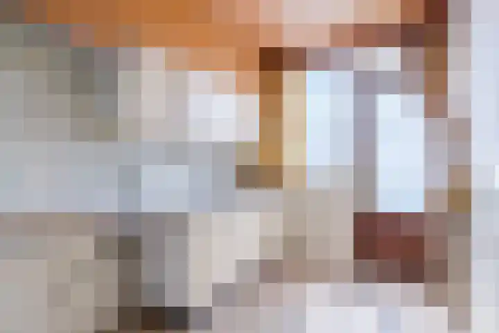 Ruimzicht 41 Amsterdam thumbnail 28