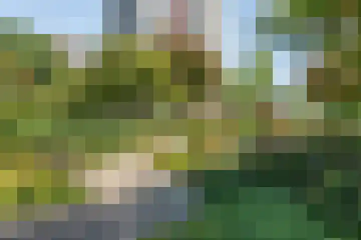 Ruimzicht 41 Amsterdam thumbnail 35