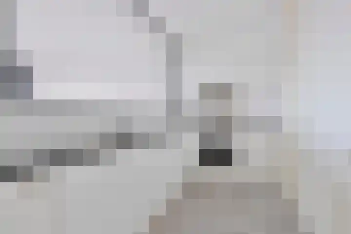 Ruimzicht 41 Amsterdam thumbnail 36