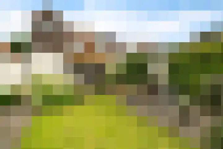 Ruimzicht 41 Amsterdam thumbnail 6