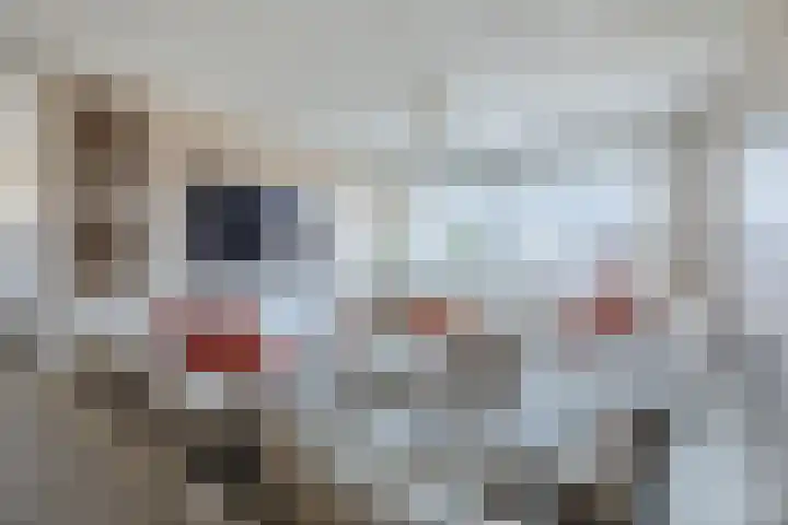 Ruimzicht 41 Amsterdam thumbnail 7