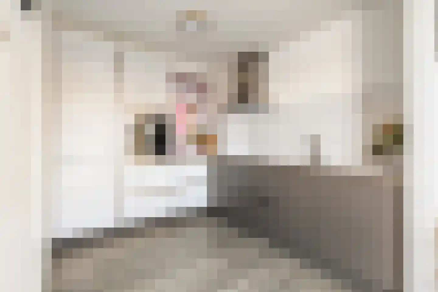 Ruimzicht 68 Amsterdam thumbnail 4