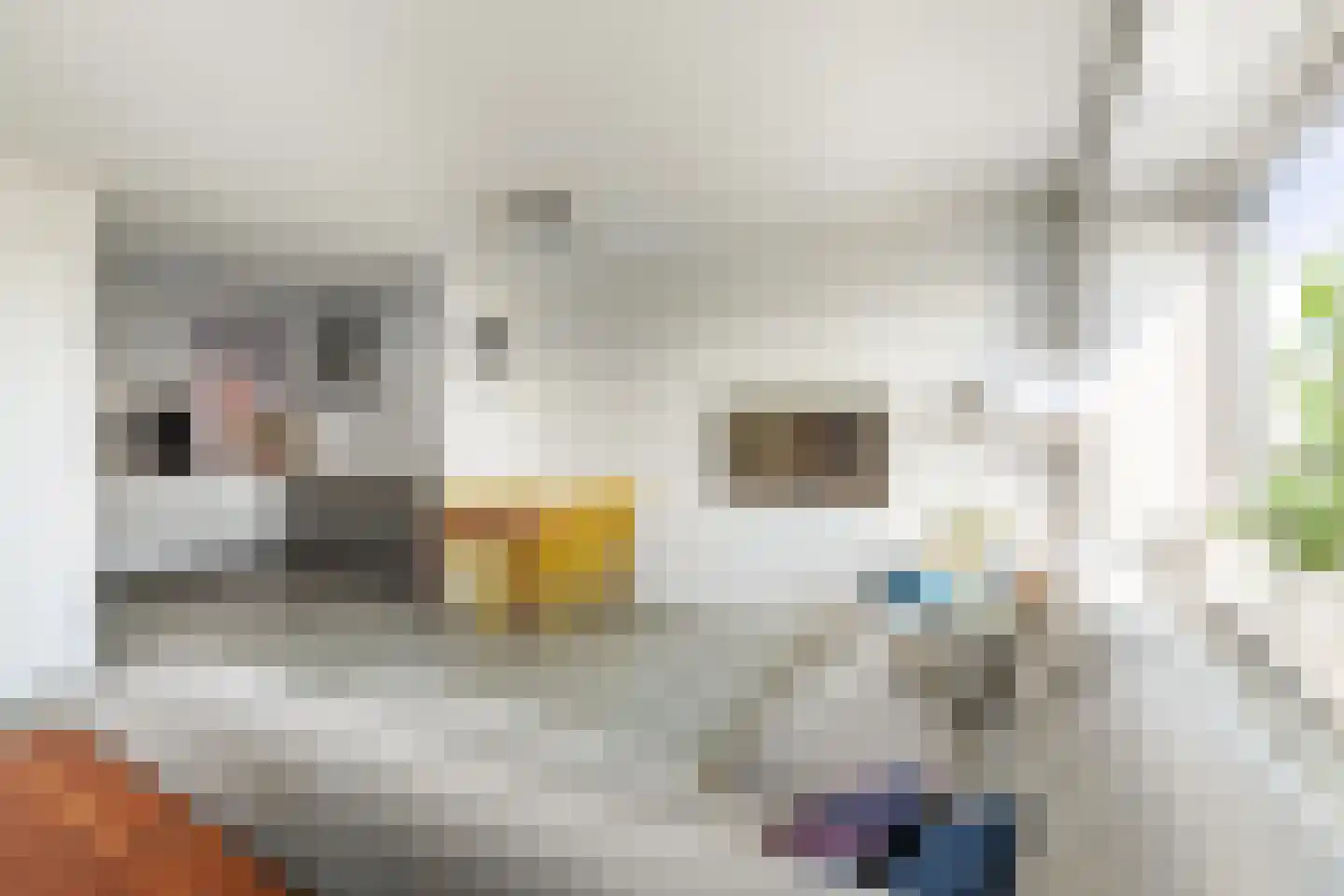 Ruimzicht 68 Amsterdam thumbnail 7