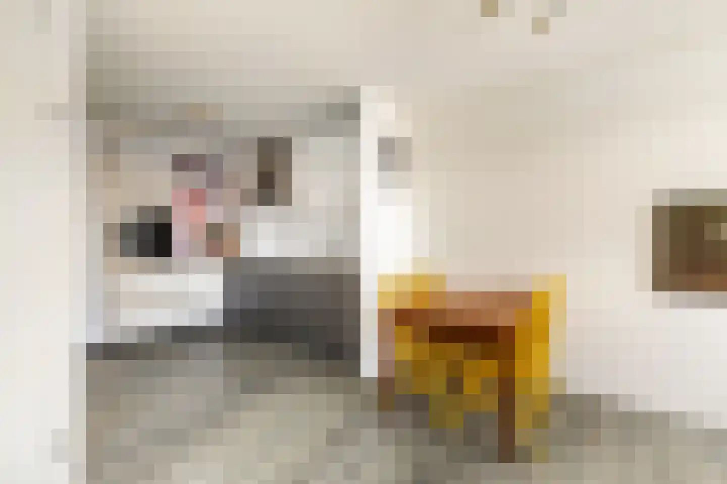 Ruimzicht 68 Amsterdam thumbnail 8