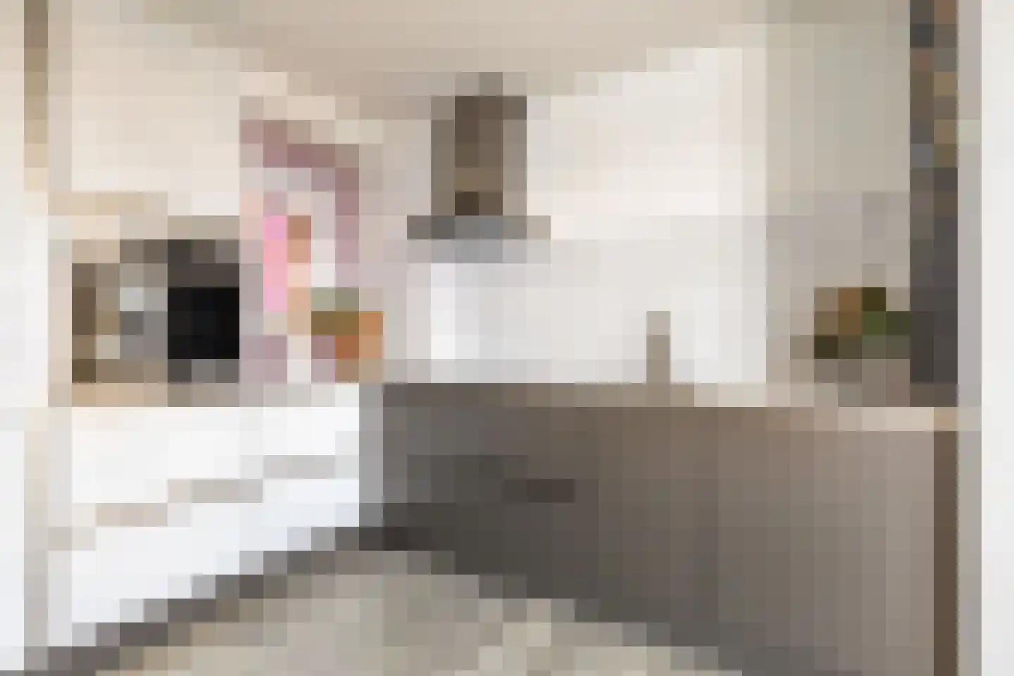 Ruimzicht 68 Amsterdam thumbnail 9