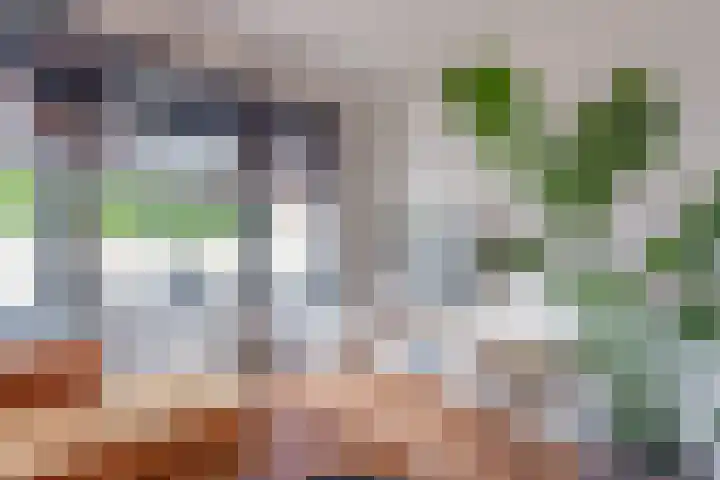 Ruimzichtlaan 11 Apeldoorn thumbnail 18