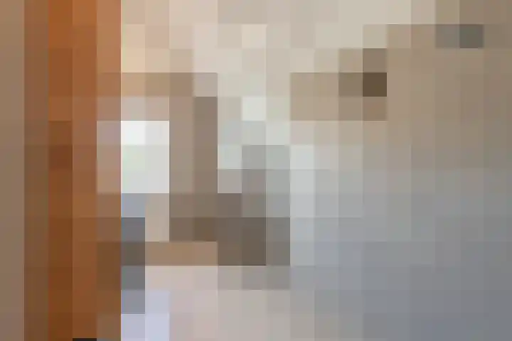 Ruimzichtlaan 11 Apeldoorn thumbnail 35