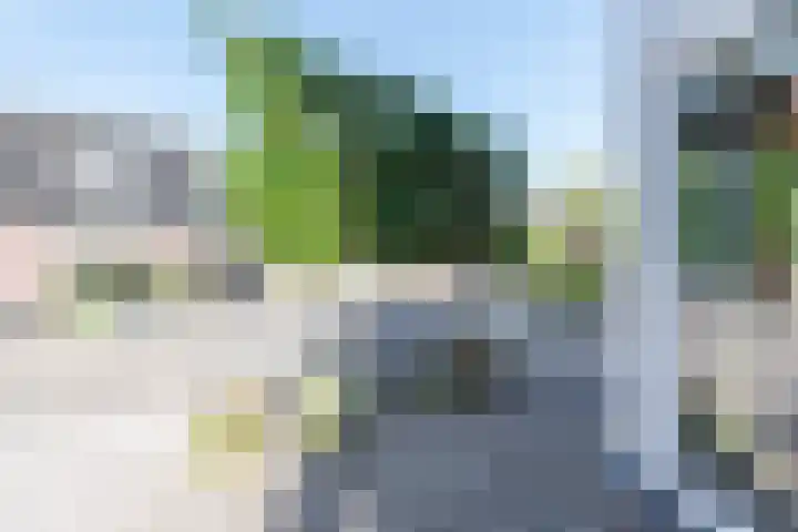 Ruimzichtlaan 11 Apeldoorn thumbnail 4