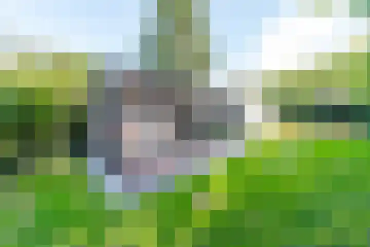 Ruimzichtlaan 11 Apeldoorn thumbnail 46
