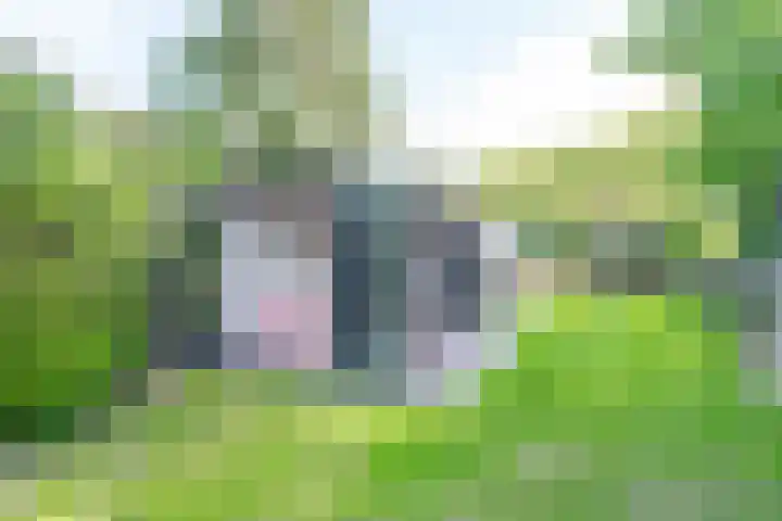 Ruimzichtlaan 11 Apeldoorn thumbnail 47