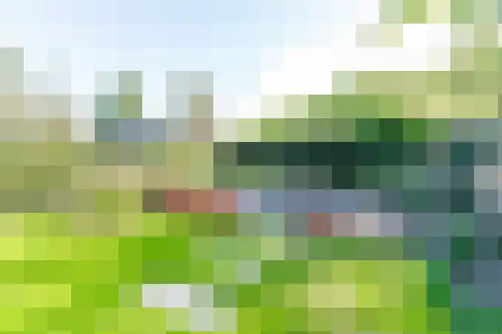 Ruimzichtlaan 11 Apeldoorn thumbnail 50