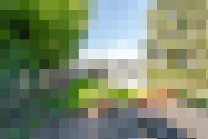 Ruimzichtlaan 11 Apeldoorn thumbnail 51