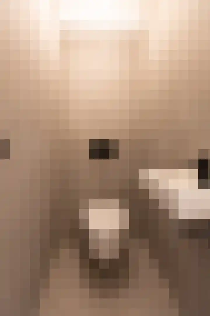 Ruimzichtlaan 2 C Doetinchem thumbnail 13