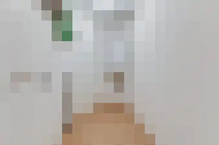 Ruimzichtlaan 2 D Doetinchem thumbnail 11