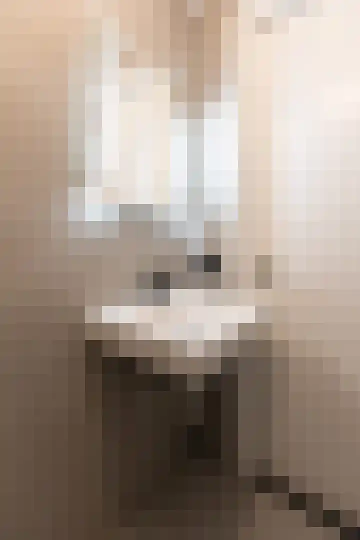 Ruimzichtlaan 2 E Doetinchem thumbnail 17