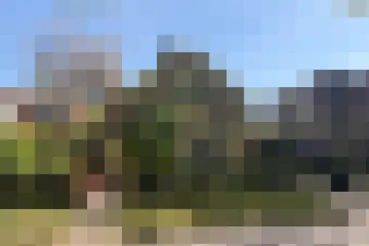 Ruïnelaan 27 Bergen (NH) thumbnail 33