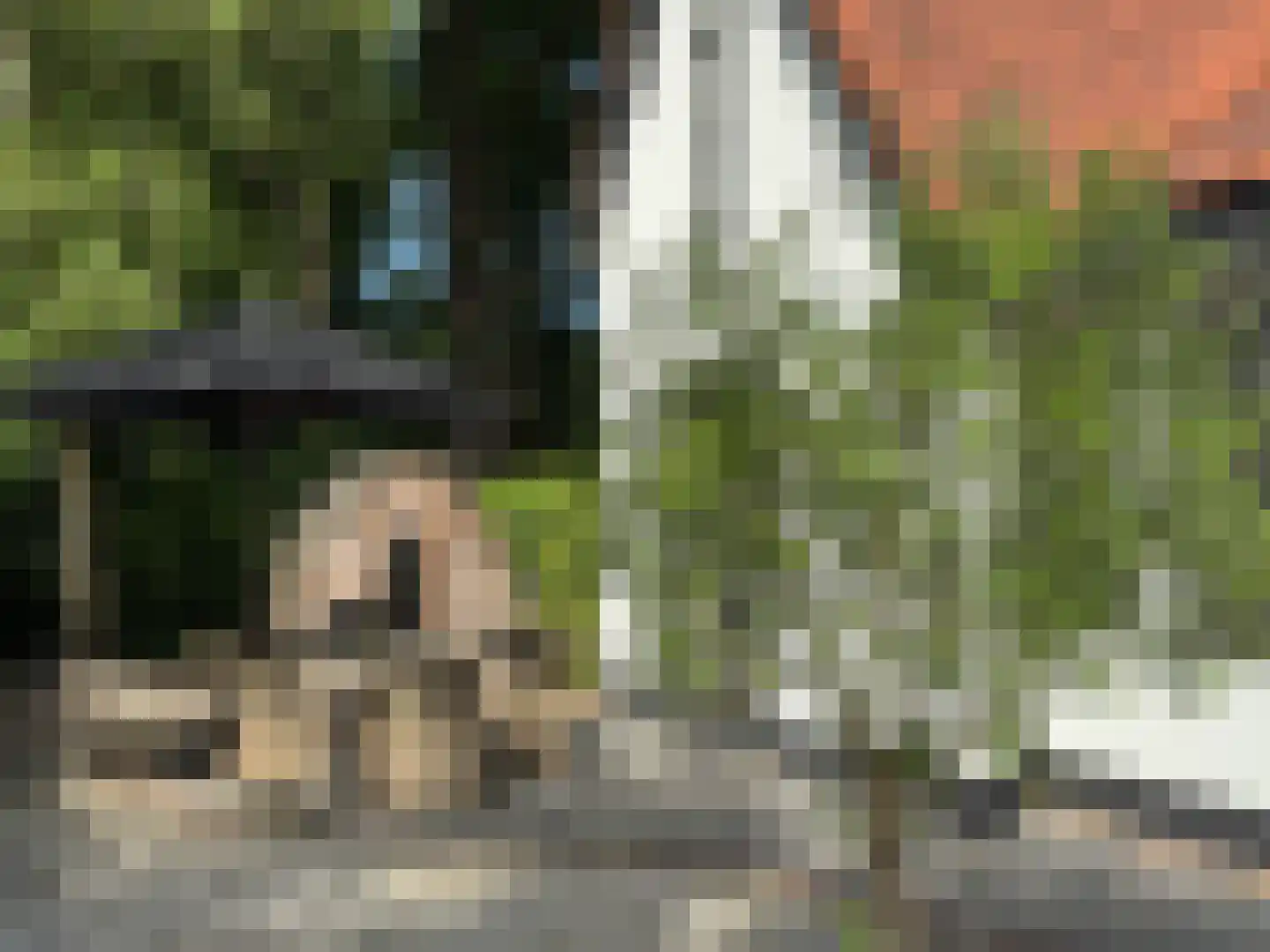 Ruïnelaan 33 Bergen (NH) thumbnail 37